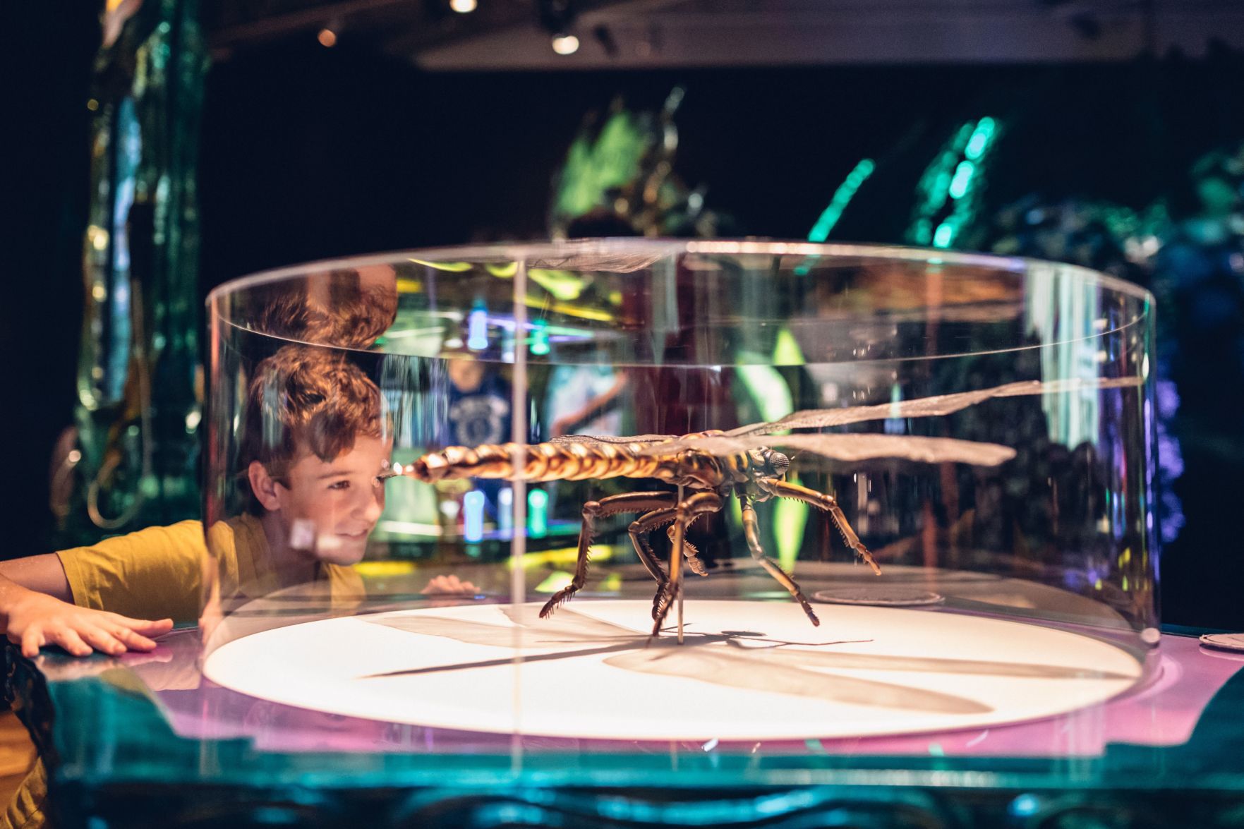 "Fantastic Bug Encounters" at the Field Museum